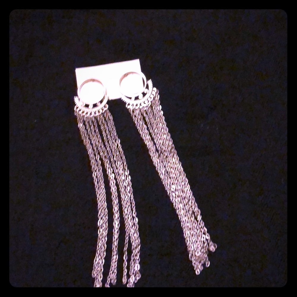 Silver Long Elegant Earings
